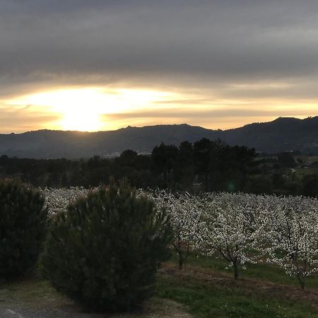 Quinta Da Porta - Solar De Vale De Prazeresヴィラ エクステリア 写真