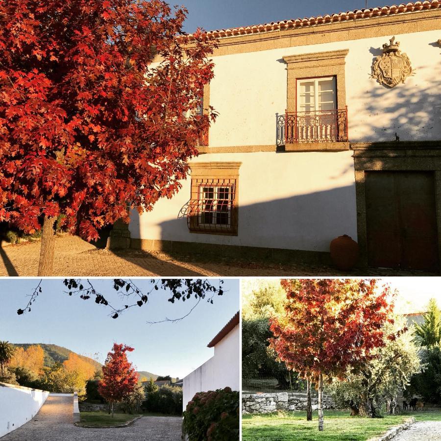 Quinta Da Porta - Solar De Vale De Prazeresヴィラ エクステリア 写真