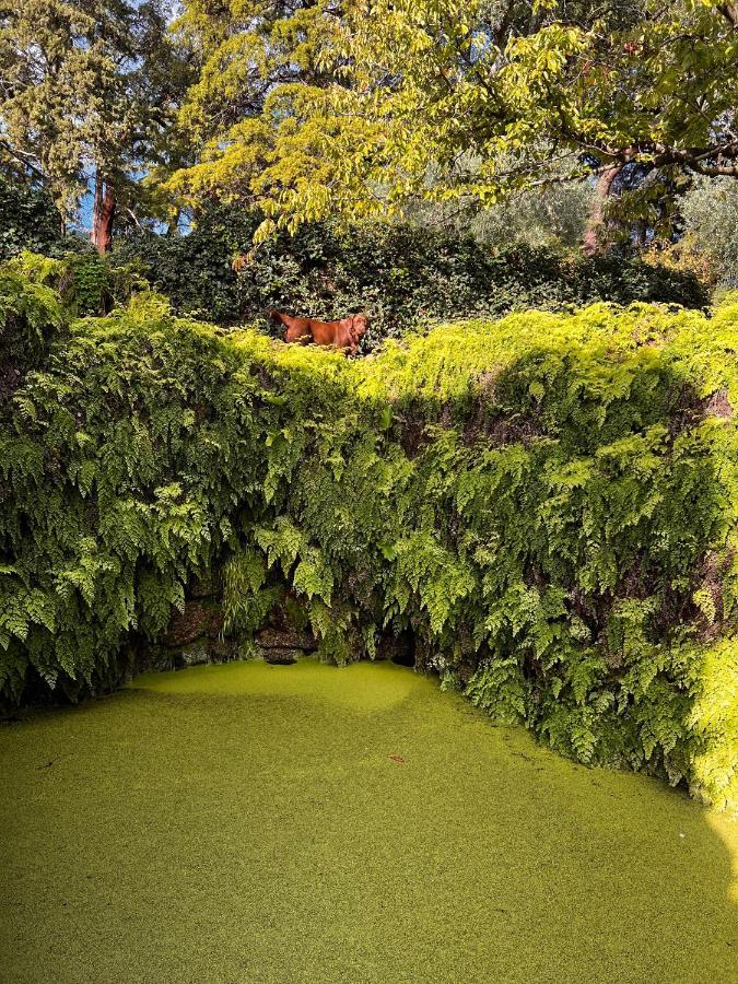 Quinta Da Porta - Solar De Vale De Prazeresヴィラ エクステリア 写真