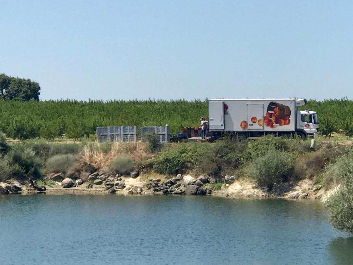 Quinta Da Porta - Solar De Vale De Prazeresヴィラ エクステリア 写真