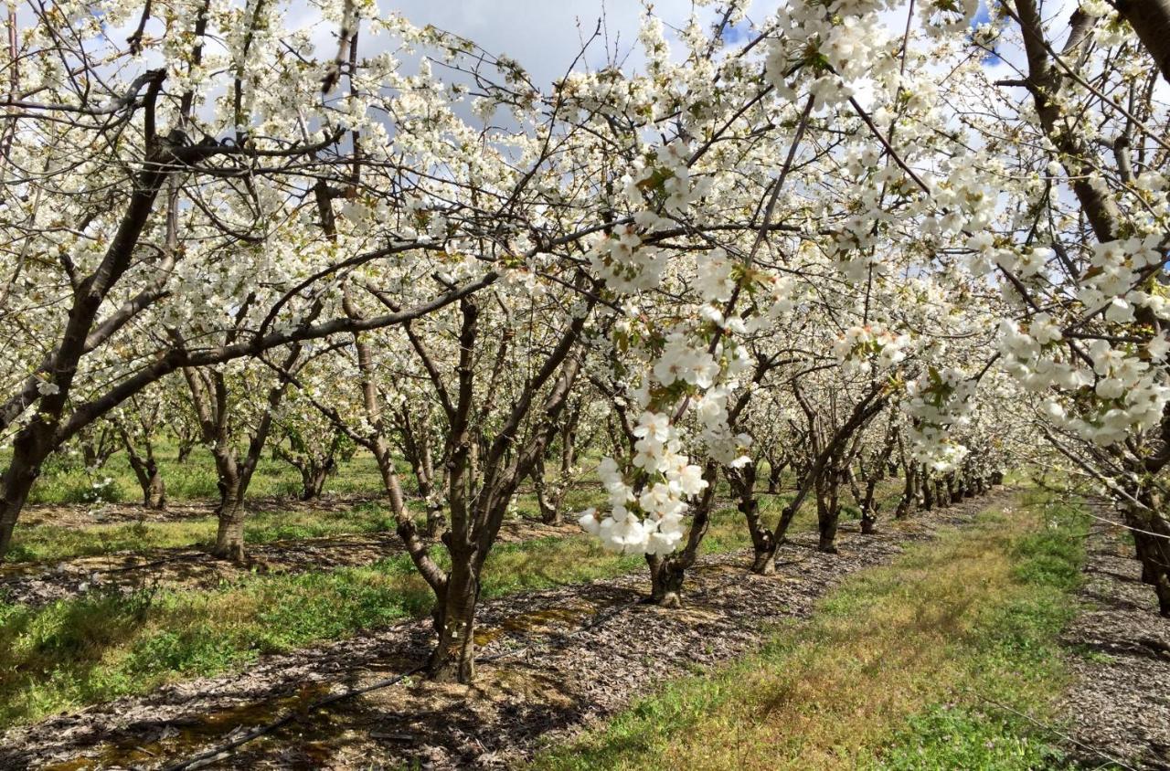 Quinta Da Porta - Solar De Vale De Prazeresヴィラ エクステリア 写真