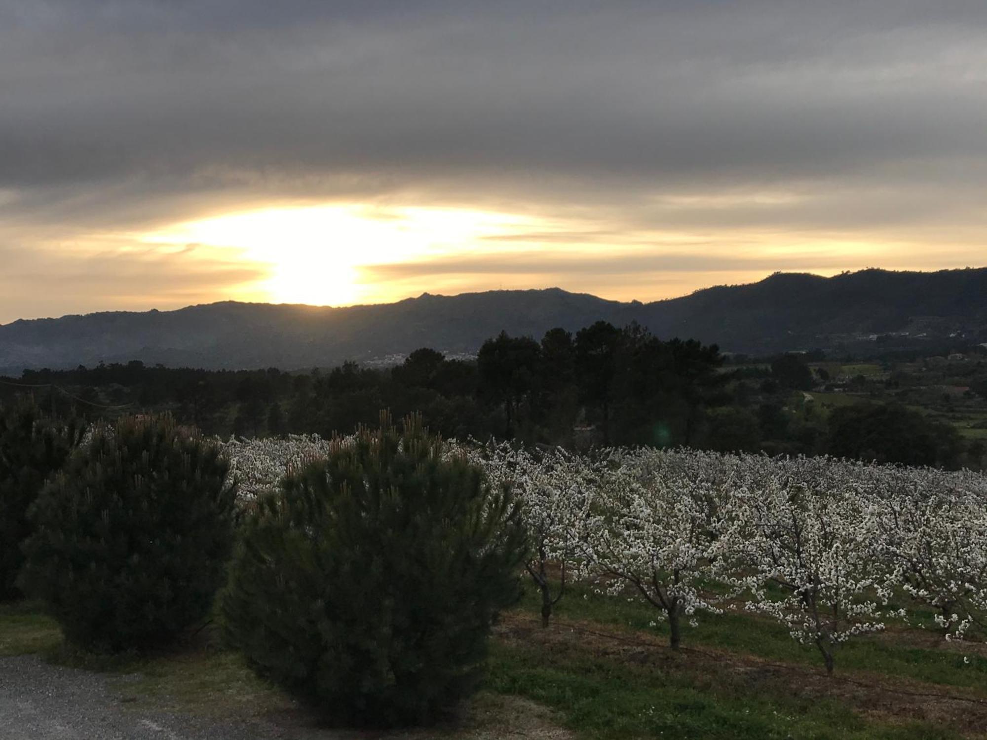 Quinta Da Porta - Solar De Vale De Prazeresヴィラ エクステリア 写真